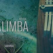 Beautiful Kalimba Meditation 3 Hours Remastered Calm Whale