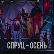 Осень Спруц