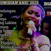 Dian Anic Full Album