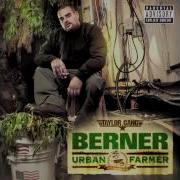 Don T Hate Me Berner