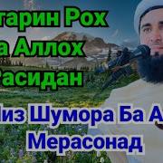 Хазрати Мусо 30 Руз Руза Шрифт Токи Тавроту Инвитро Аллах Ба У Дихад Ахмад Фируз