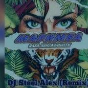 Dj Steel Alex Remix