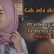 Prenk Temen Cewek Cek