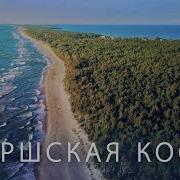 Куршская Коса