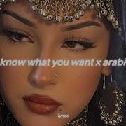 Instagram Arabic Songs