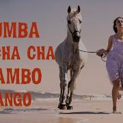 Spanish Guitar Rumba Cha Cha Cha Tango Mambo Best Of Instrumental