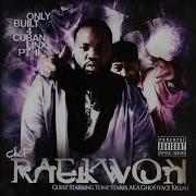 Reakwon Pyrex Vision Instrumental