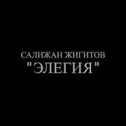 Салижан Жигитов Элегия