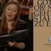 Gottlob Nun Geht Das Jahr Zu Ende Bwv 28 V Gott Hat Uns Im Heurigan