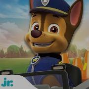 Chase Paw Patrol