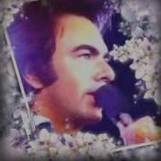 Theme Neil Diamond