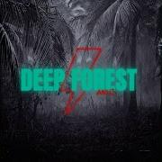 Ncs Deep Forest