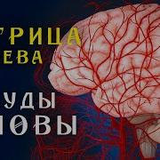 Матрица Гаряева Сосуды Головного Мозга