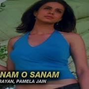 O Sanam O Sanam From Jurm Udit Narayan Pamela Jain