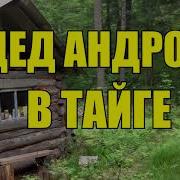 Дед Андрон В Тайге