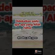 Madinaaudioquran