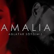 Amalia Aglayar Soygumiz