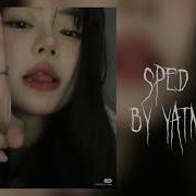 Scally Milano Йупи Йо Speed Up