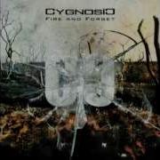 Cygnosic Mad Desire