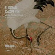 Florian Gasperini Walking Through Dreams