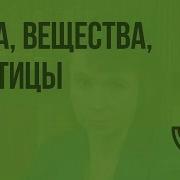 Тела Вещества