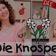 Die Knospe Singen Tanzen Und Bewegen Kinderlieder