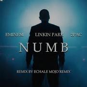 Eminem Linkin Park 2Pac Numb 2019