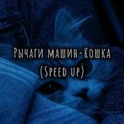 Кошка Noize Mc Speed