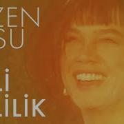 Sezen Aksu Lütfen Görmeyeyim Seni Lyrics