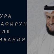 Куля Сураси Мишари Рашид