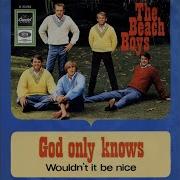 God Only Knows The Stereo Mix