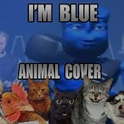 Eiffel I M Blue Animal Cover