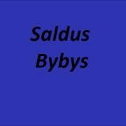 Saldus Bybis