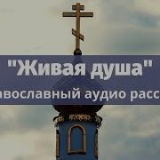 Истории Сельского Прихода И Другие Православные Художественные Повести И Рассказы