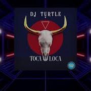 Toca Loca Dj Turtle