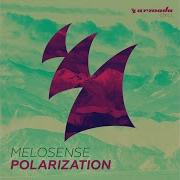 Polarization Melosense