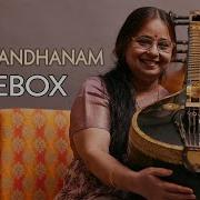 Carnatic Veena Instrumental