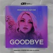 Goodbye Dg Zhuk Remix