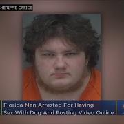 Man Having Sex With Dogs