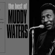 Best Of Muddy Waters