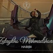 Zulaykho Mahmadshoeva Habibi