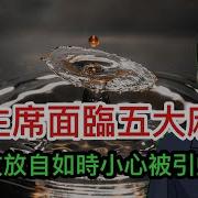 Lt视界最新2024 12 25