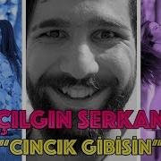 C Ilgın Serkan Cıncık Gibisin