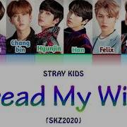 Stray Kids Spread My Wings Lyrics