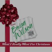 Brian Wilson Christmasey