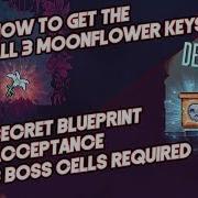 Moonflower Keys