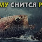 К Чему Снится Рыба