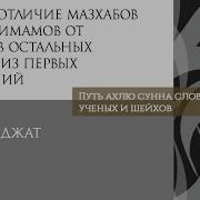 Шейх Амир Бахджат Важная Особенность Мазхабов Четырех Имамов