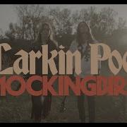 Larkin Poe Mockinbird