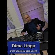 Formatia Nuntasi Dima Linga De La Chișinău